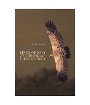 Birds Of Prey Of The Indian Subcontinent
