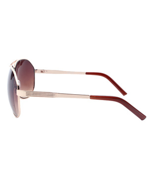 Color Line Lustrous Gold & Brown Aviator