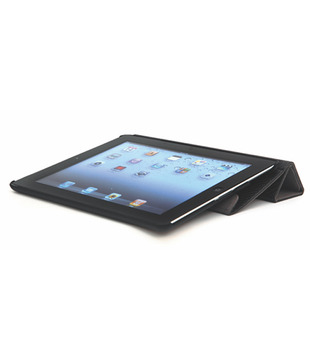 iPad2 ROTO CASE