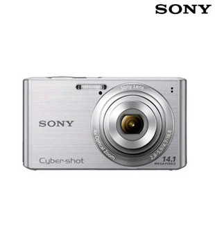 Sony CyberShot W610 14.1 MP Point & Shoot Digital Camera (Silver)