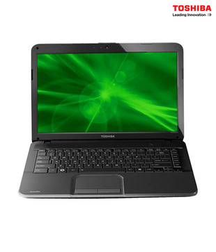 Toshiba C850D M5010 Laptop (APU Dual Core/ 2GB/ 320GB/ DOS)