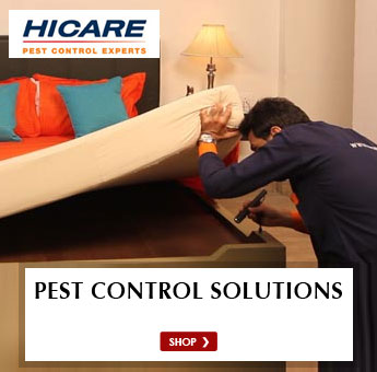 Hicare pest control  solutions
