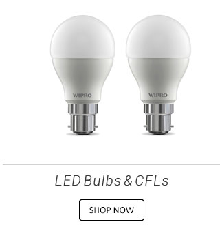 LED Bulbs & CFLs