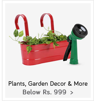 Plants, Garden Decor & More