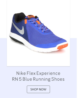 Nike FLEX EXPERIENCE RN 5 Blue Running Shoes