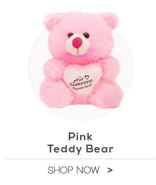 Kashish Toys Pink Teddy Bear