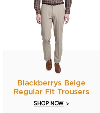 Blackberrys Beige Regular Fit Trousers