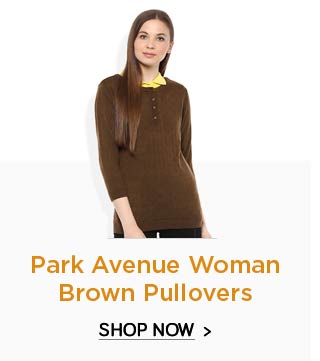 Park Avenue Woman Brown Pullovers