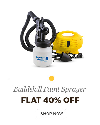 Buildskill BPS1100 Paint Sprayer Professional Paint Sprayer