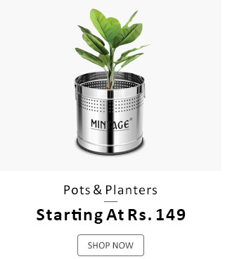 Pots & Planters - Starting At Rs. 149