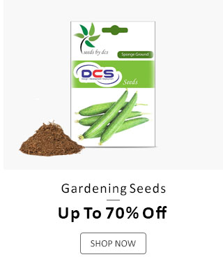 Gardening Seeds - Starting At Rs. 60