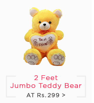 2 Feet Jumbo Teddy Bear