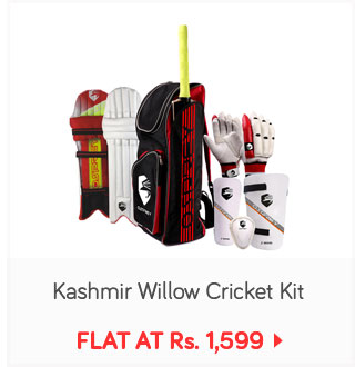 Kashmir Willow Cricket Kit