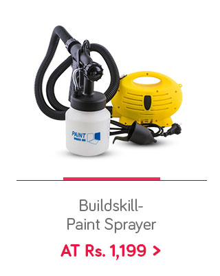 Buildskill Paint Sprayer for Home and Professional Users- 650W