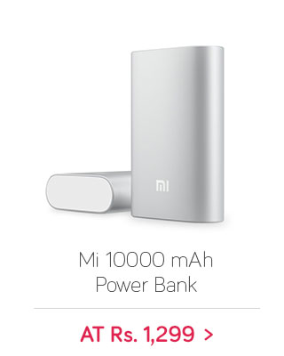 Mi 10000 mAh Power Bank